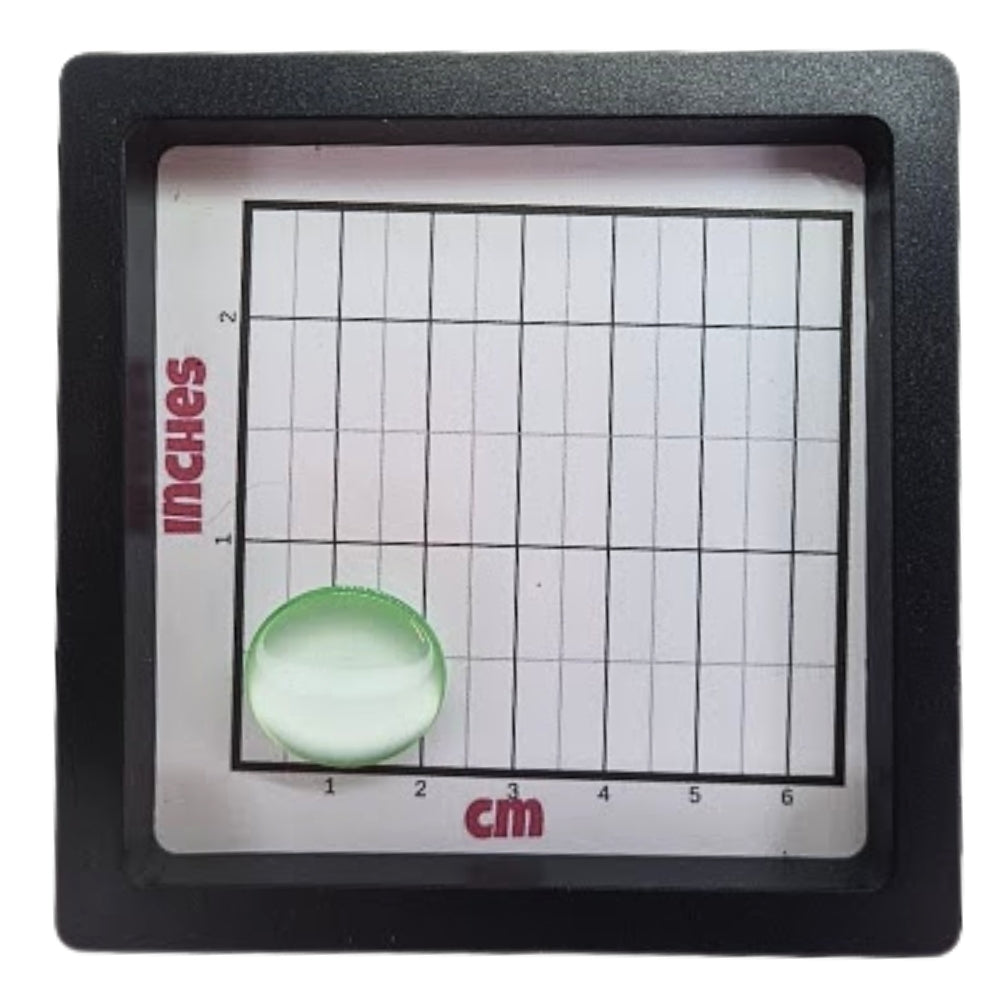 Polyester Plain Shank Button - 20mm - Pale Green [LA12.4]