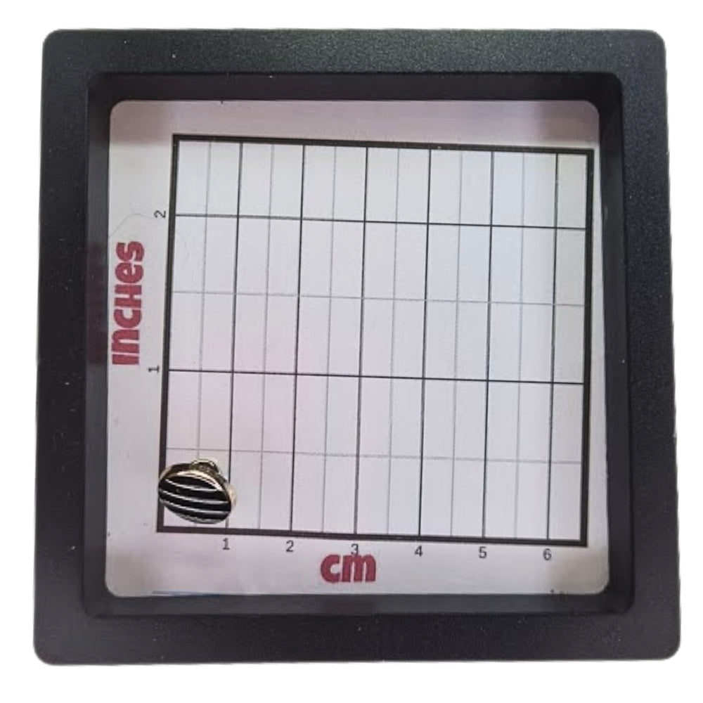 Plastic Shank with Enamel Stripe Design Button - 11mm - Black/Gold [LB1.8]