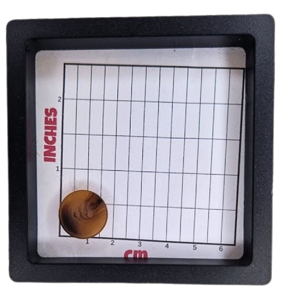 2 Hole Round Tortoiseshell Button - 18mm [LC12.2]