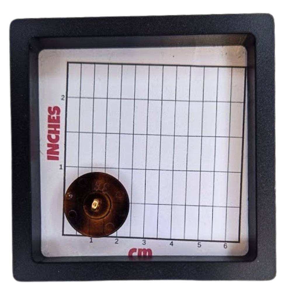 Tortoiseshell & Gold Detail Shank Button - 22mm [LC14.3]