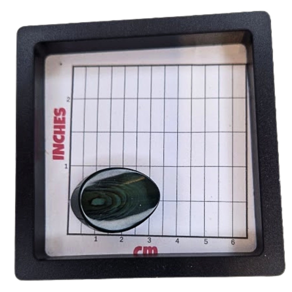 Wood Effect Oval Shank Button - 34mm - Dark Green [LC14.6]