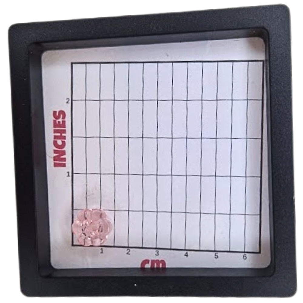 Transparent 2 Hole Flower Button - 12mm - Light Pink [LH9.7]